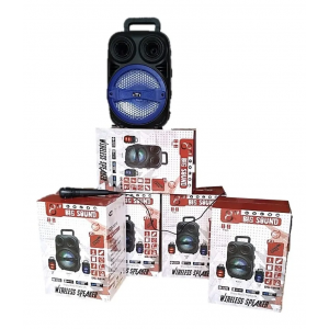 Преносима блутут тонколона 8 инча модел DG-1014