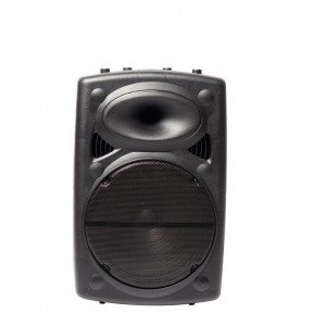 Мощна тонколона от висок клас JVP 15 инча с безжичен микрофон