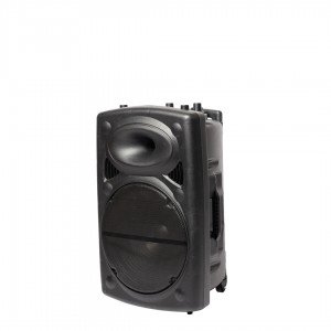 Мощна тонколона от висок клас JVP 15 инча с безжичен микрофон